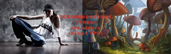 spice Алексеевка