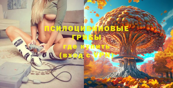 spice Алексеевка