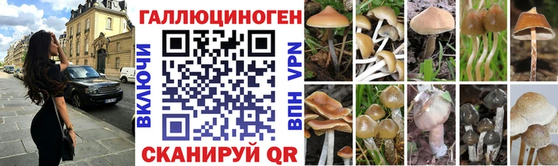 Галлюциногенные грибы Cubensis  магазин    Комсомольск 